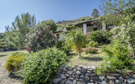 Mediterranean gardens